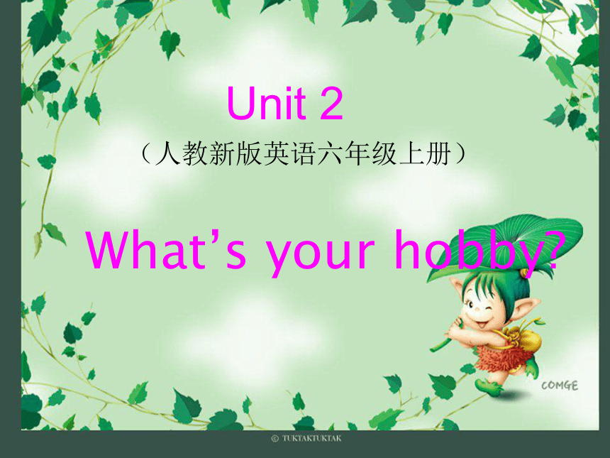 Unit 2 What’s your hobby？Lesson 9 课件