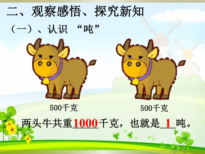 吨的认识课件(共29张PPT)