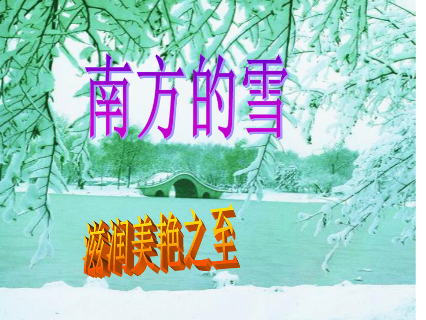 雪 课件