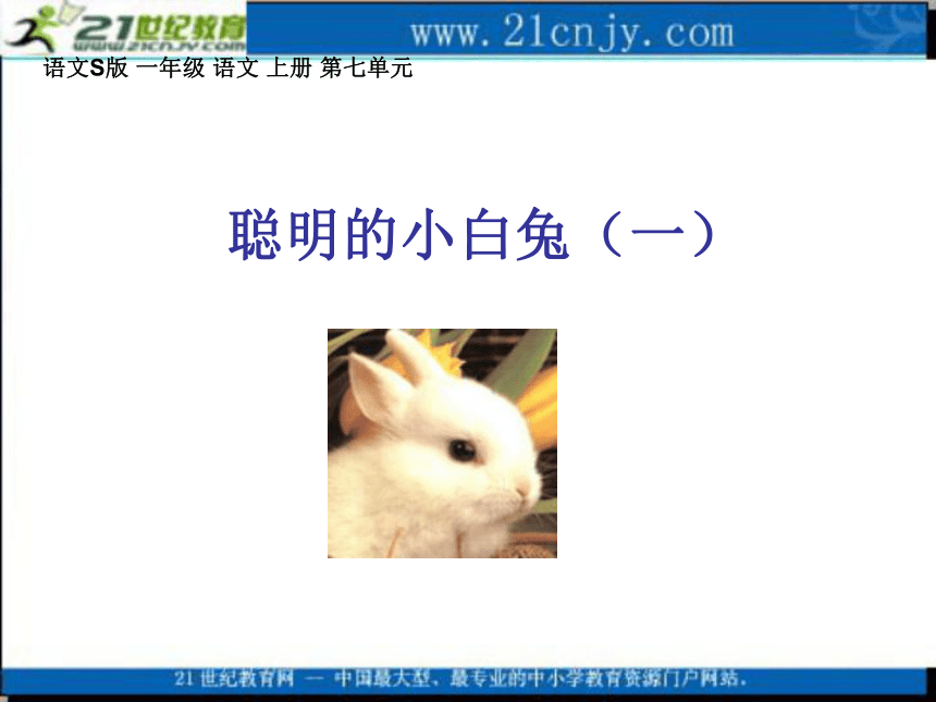 一年级语文上册课件 聪明的小白兔（一） 2（语文s版）