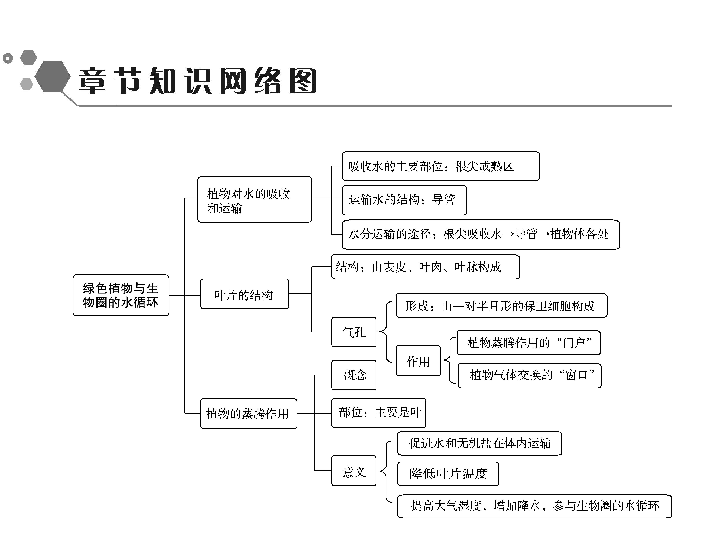 第3单元  第3章　绿色植物与生物圈的水循环(共51张PPT)