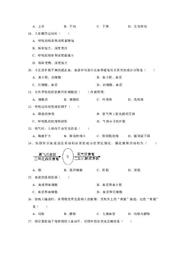 2018-2019学年湖北省宜昌市东部七年级（下）期中生物试卷（含解析）