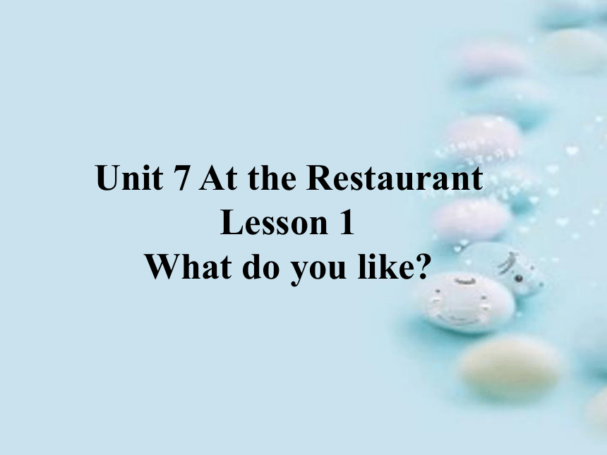 Lesson 1 What do you like？课件