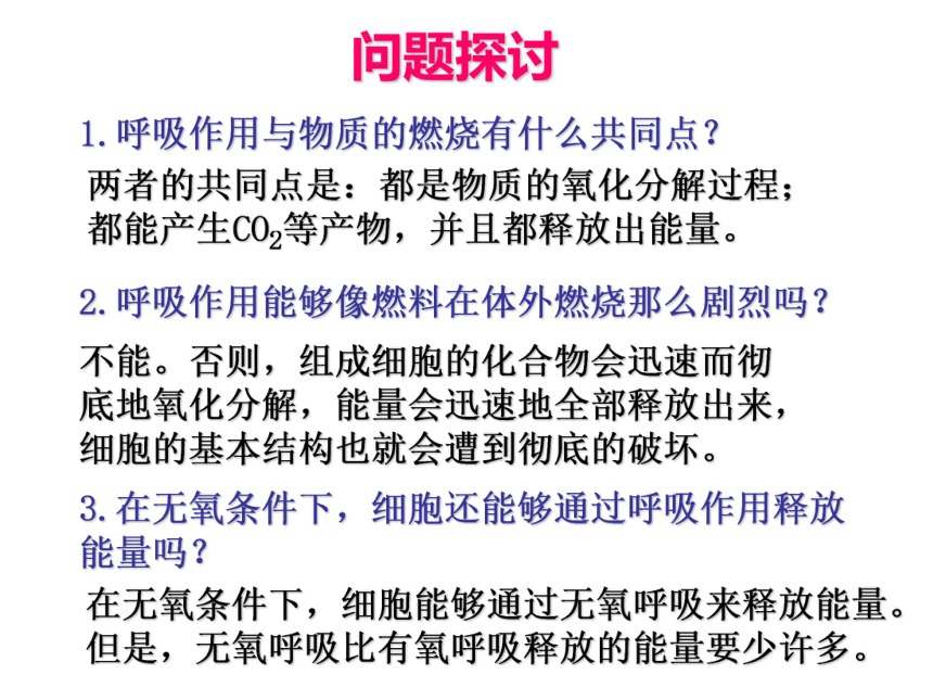 2021-2022学年高一上学期生物人教版必修一5.3ATP的主要来源——细胞呼吸课件（62张ppt）