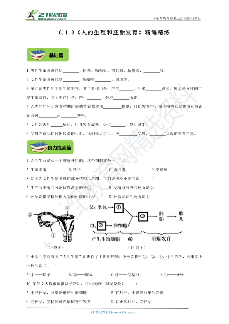 6.1.3《人的生殖和胚胎发育》精编练习（含答案）