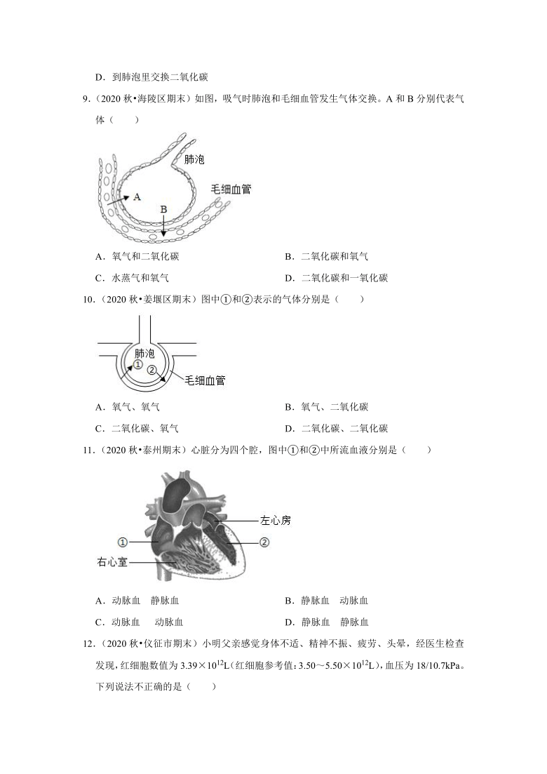 2021年江苏省中考生物复习专练——专题10人的血液循环系统（word版含解析）