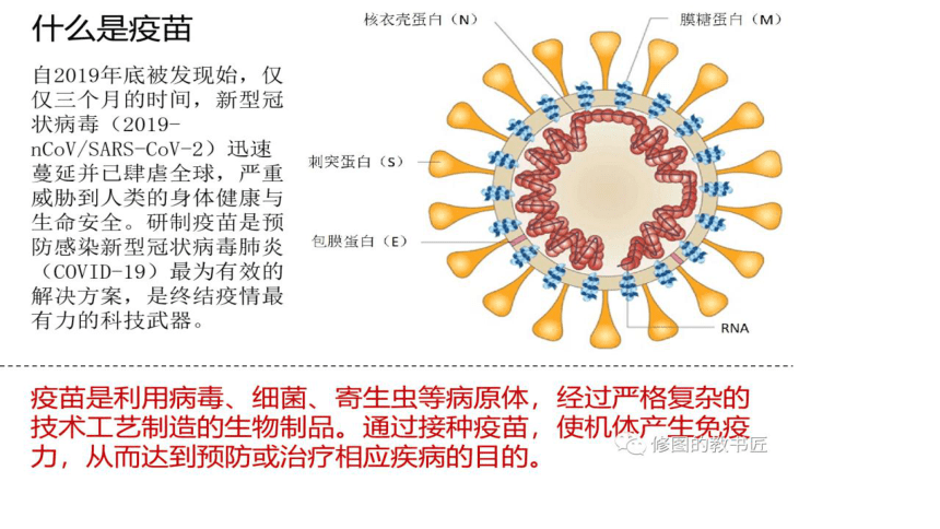 2021届高考冲刺专题复习疫苗专题课件（33张PPT）