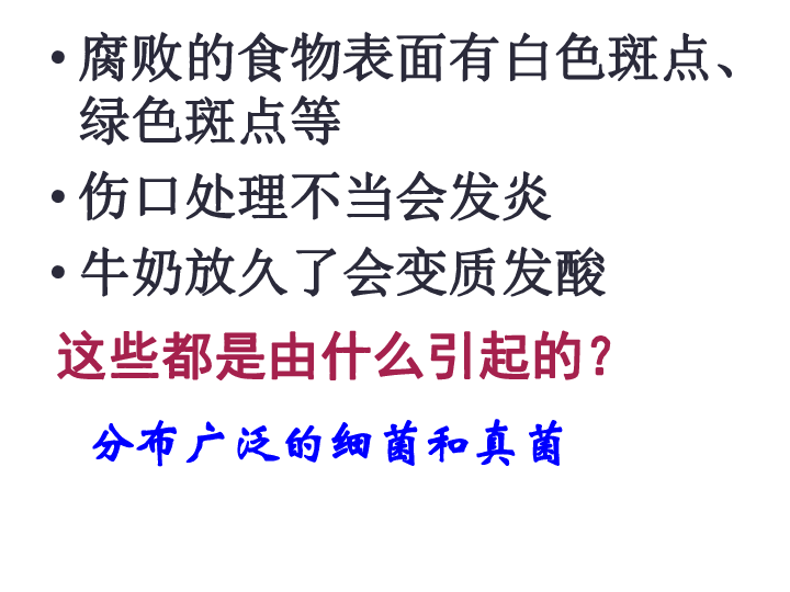 第一节  细菌和真菌的分布课件（17张幻灯片）