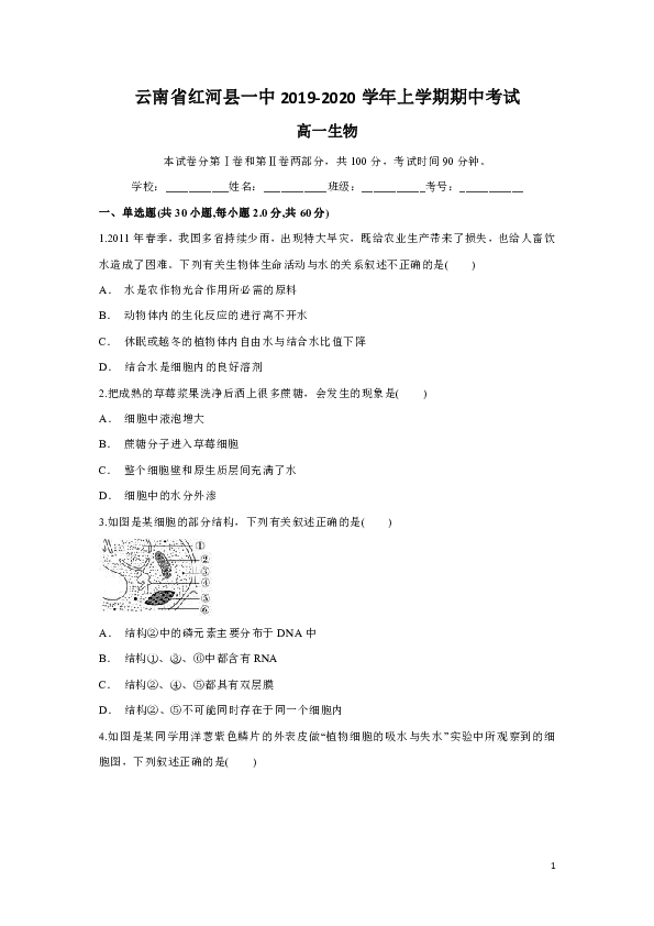 云南省红河县一中2019-2020学年高一上学期期中考试生物试题