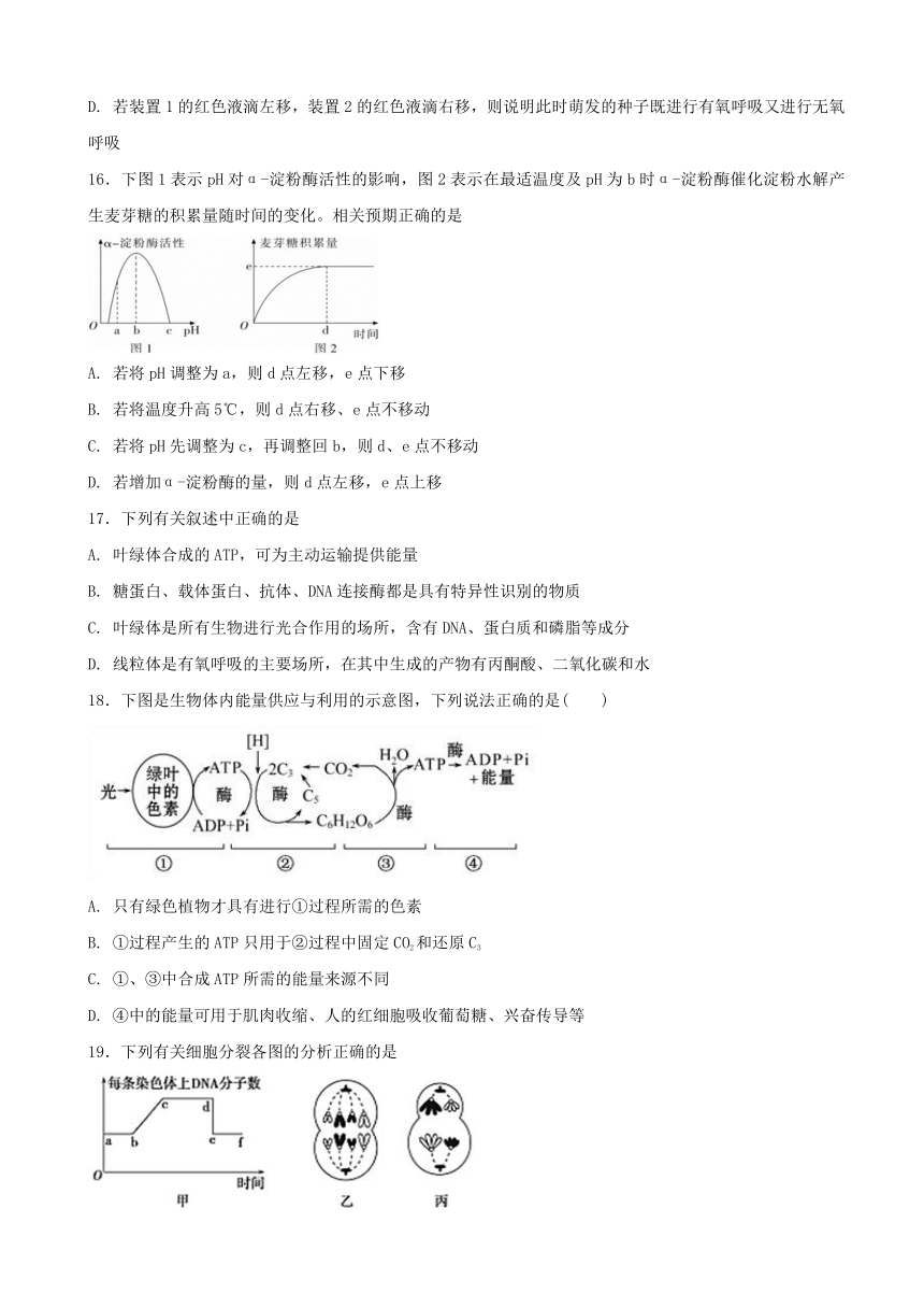 河北省成安县第一中学2016-2017学年高二下学期期末考试生物试题