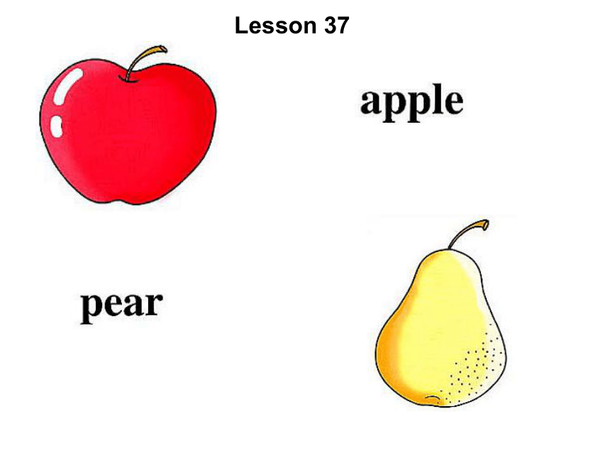英语一年级上人教版(新起点)《Unit 7 Fruit》课件