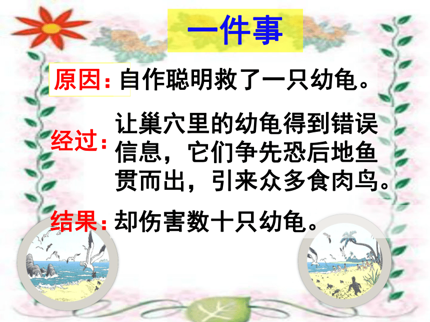 自然之道课件 (共17张PPT)