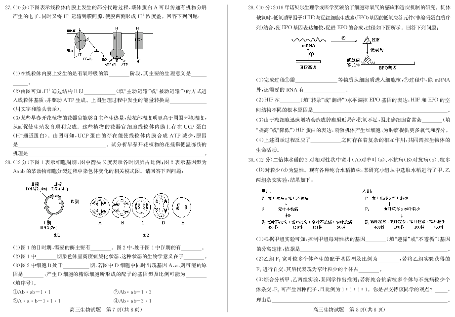 湖北省黄冈市2020届高三上学期11月周测生物试卷 PDF版