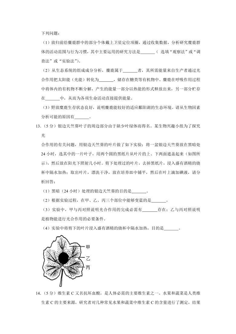 2020-2021学年江苏省徐州市睢宁县七年级（上）期末生物试卷      （含解析）