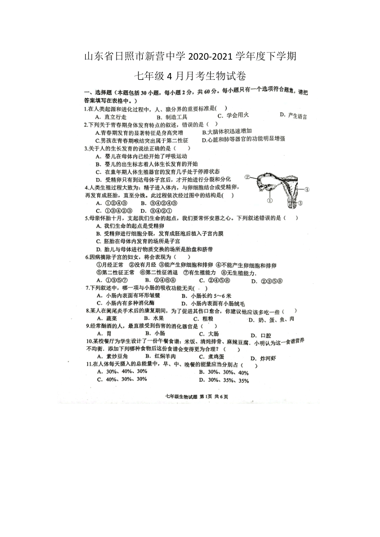 山东省日照市新营中学2020-2021学年下学期七年级4月月考生物试卷（图片版，有答案）