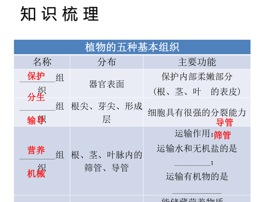 中考宝典2016中考（深圳版）生物会考课件：第三单元 生物体的结构层次（共25张PPT）