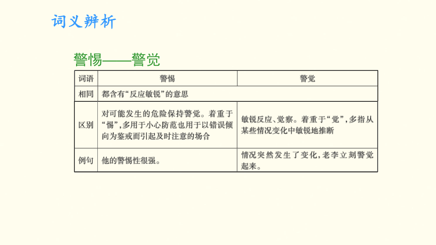 金色的脚印 课件 (共42张PPT)