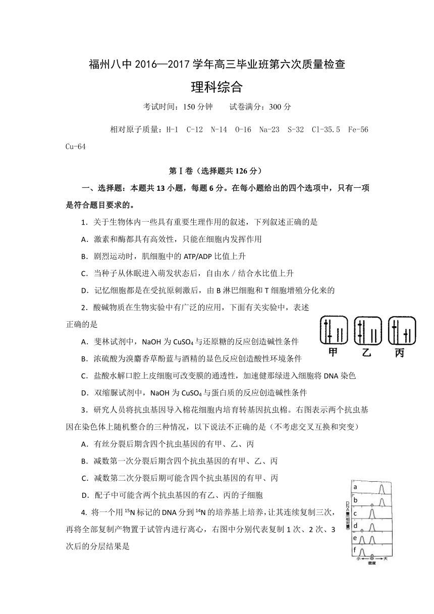 福建省福州市第八中学2017届高三第六次质量检查理科综合试题 Word版含答案