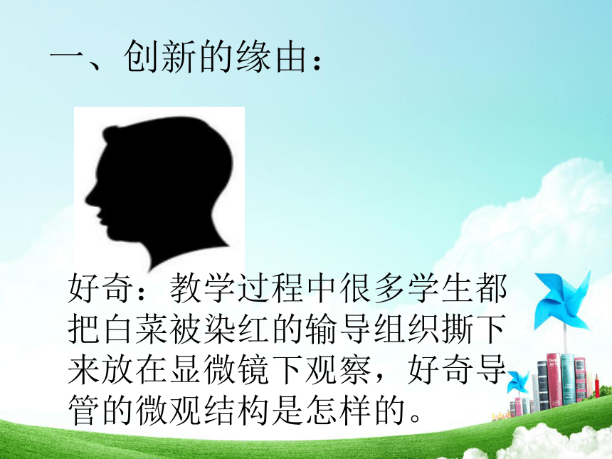 人教版七年级生物上册  第三单元第三章 绿色植物与生物圈的水循环 说课课件（18张PPT）