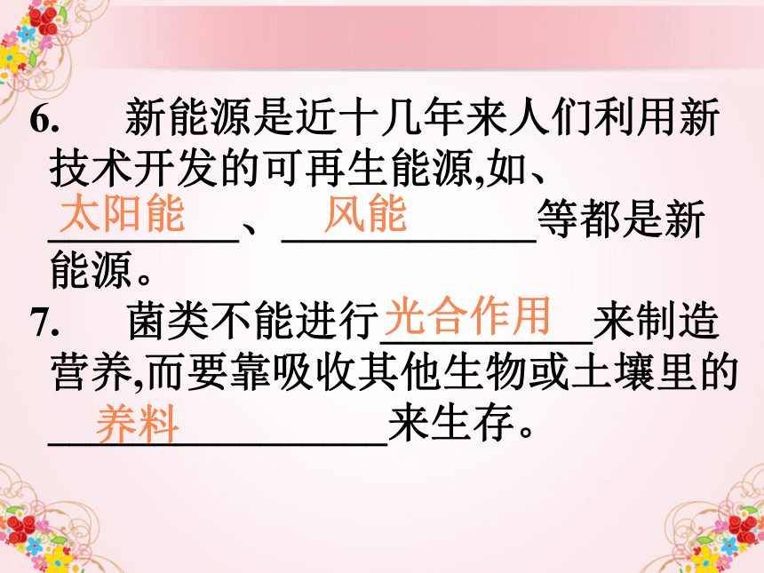 六年级上期期末复习题