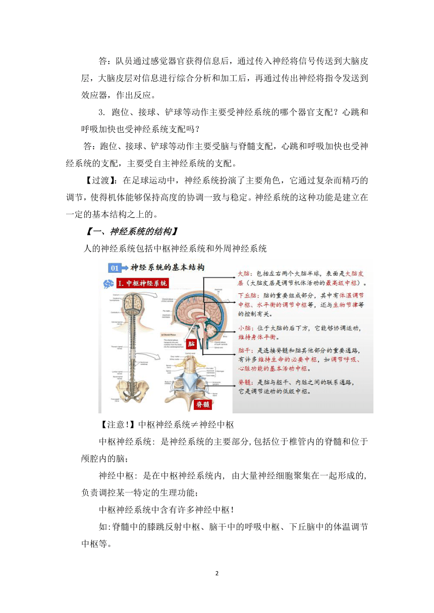 人教版（2019）高中生物选择性必修一 2 1 神经调节的结构基础 教案 21世纪教育网