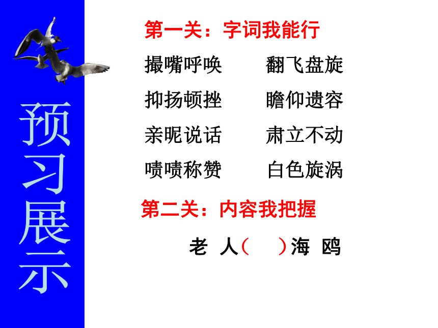 语文七年级下人教版（新疆专用）4.20《老人与海鸥》课件（38张）