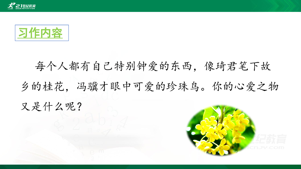 课件预览
