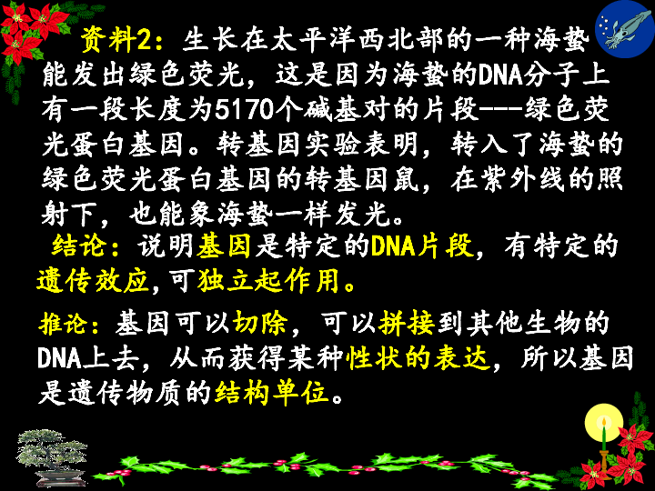 人教版高中生物必修二 第三章 第四节 基因是有遗传效应的DNA片段（共25张PPT）