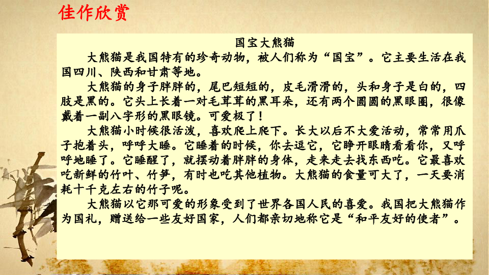 统编版三年级下册语文习作七国宝大熊猫课件共19张