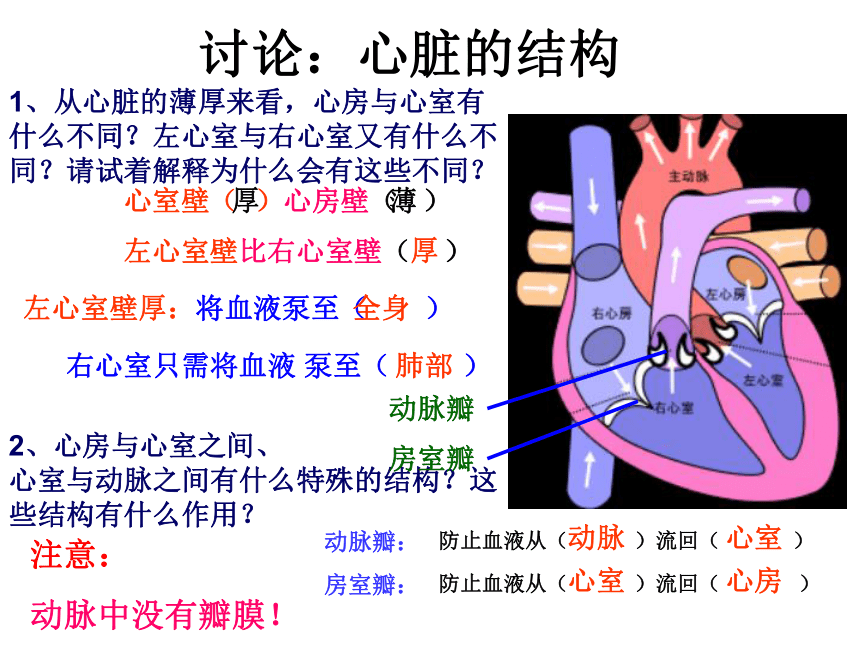 4.3输送血液的泵--心脏 (共22张PPT)
