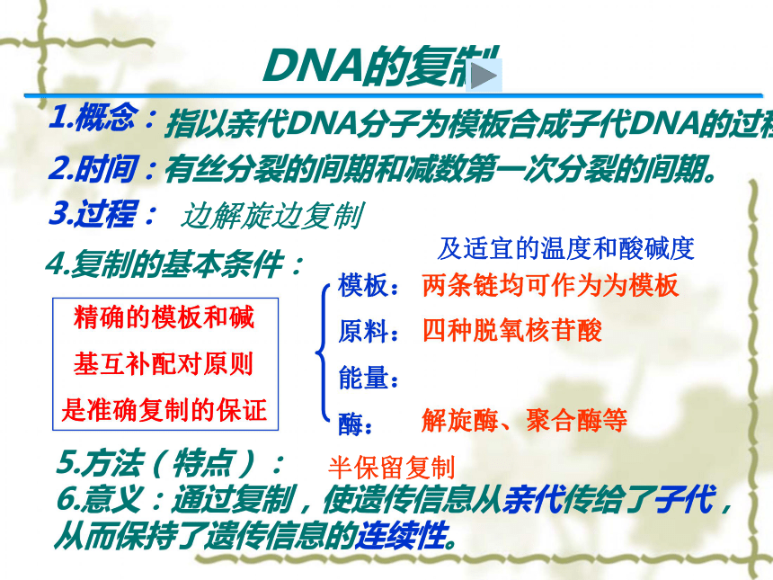 第三节-DNA的结构和复制