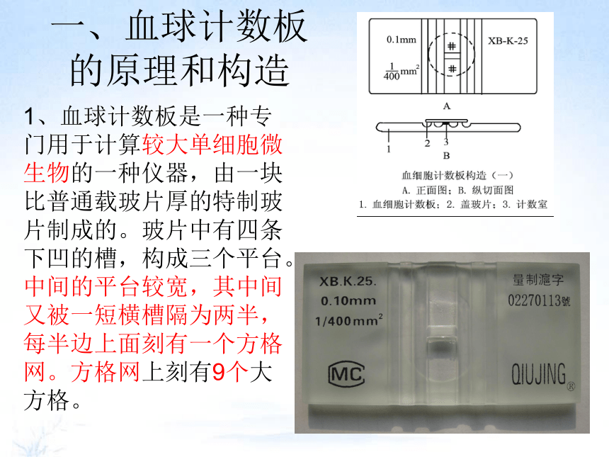 高中生物人教版2019选择性必修212血球计数板使用共28张ppt