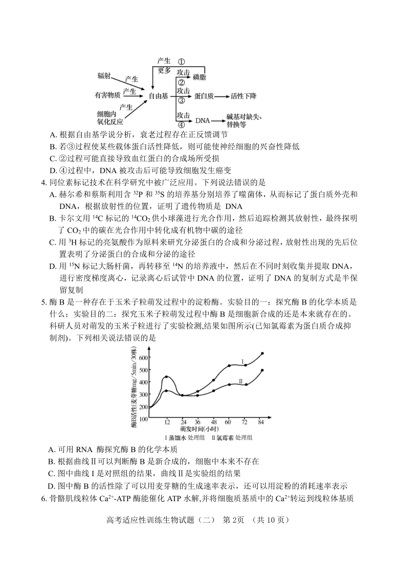 山东省泰安肥城市2021届高三下学期5月高考适应性训练生物试题（二） Word版含答案