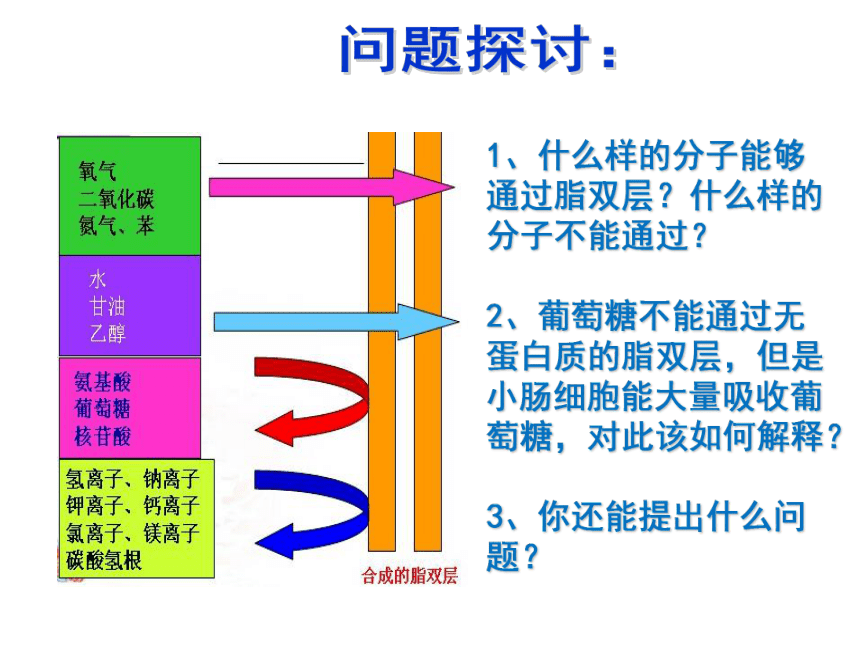 新人教版生物高中必修1第四章第三节：物质跨膜运输的方式(26张PPT)