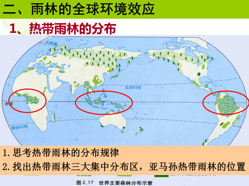 人教版高中地理必修三：2.2森林的开发和保护 课件 (共56张PPT)