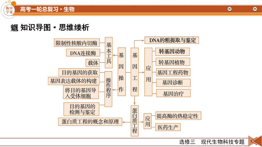 选修3 第1讲 基因工程 课末总结(共48张PPT）