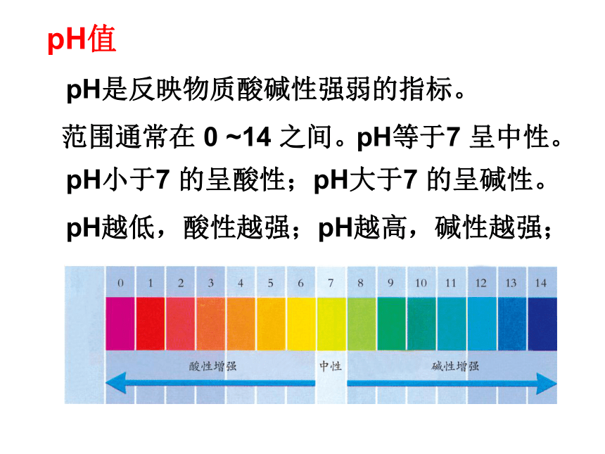 第2节 物质的酸碱性