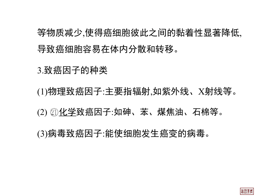 2014届高三生物一轮复习课件： 4.2 细胞的分化、衰老、凋亡和癌变