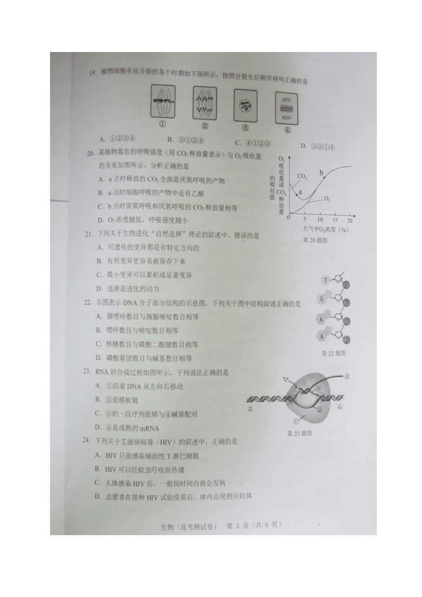 浙江省温州市普通高中2017届高三8月选考模拟考试生物试题（图片版）