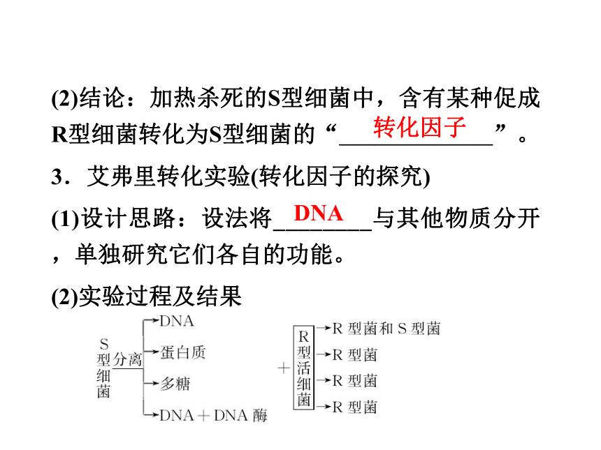 【2012优化方案 精品课件】北师大版 生物 必修2 第2章第2节 DNA贮存遗传信息