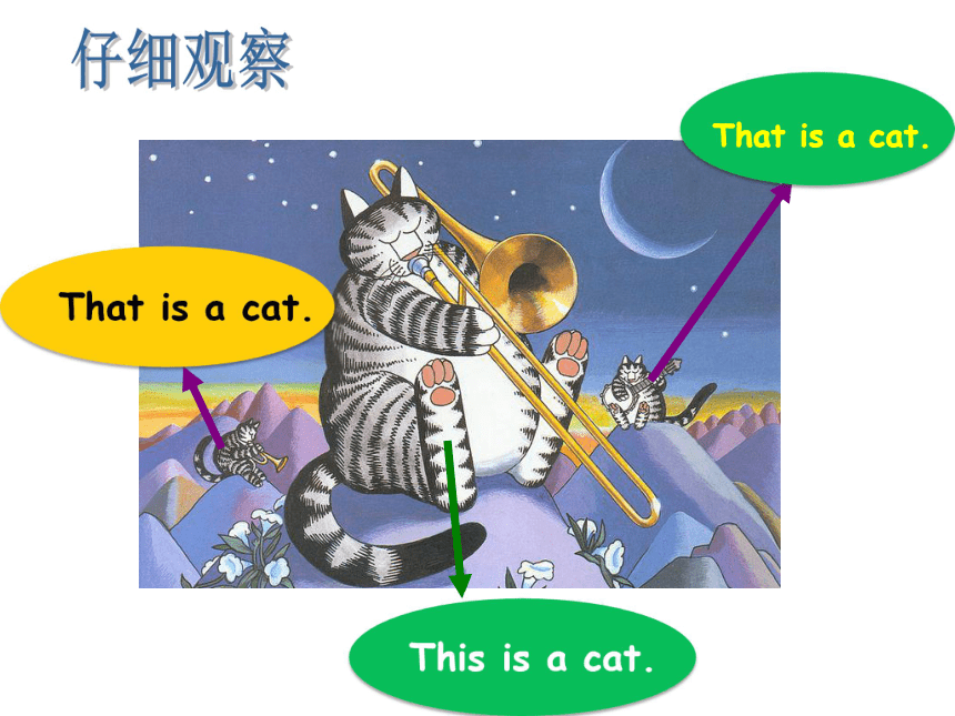 Unit 2 That is a yellow cat 课件