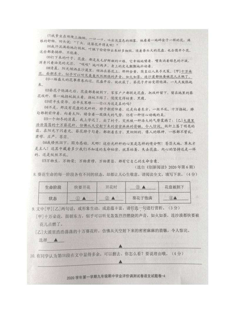 浙江省绍兴市柯桥区2020-2021学年第一学期九年级语文期中调测试题（图片版含答案）