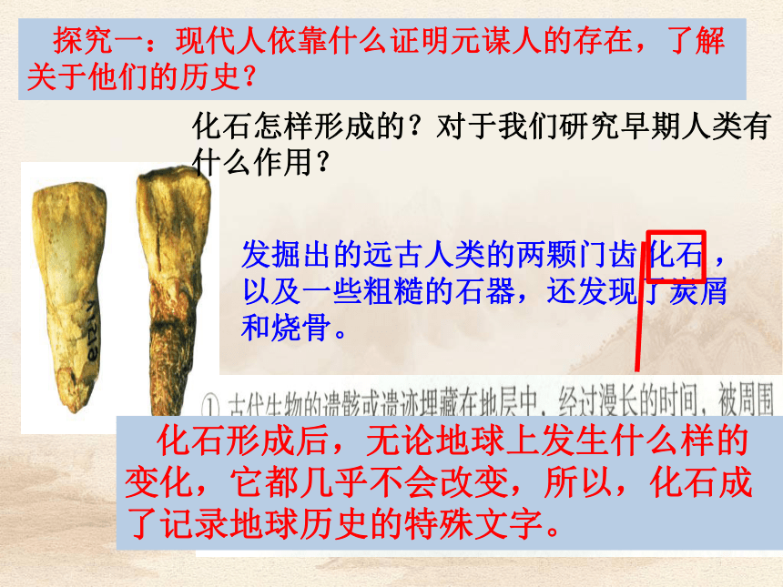 人教版七上第1课 中国早期人类的代表——北京人 课件（47张）