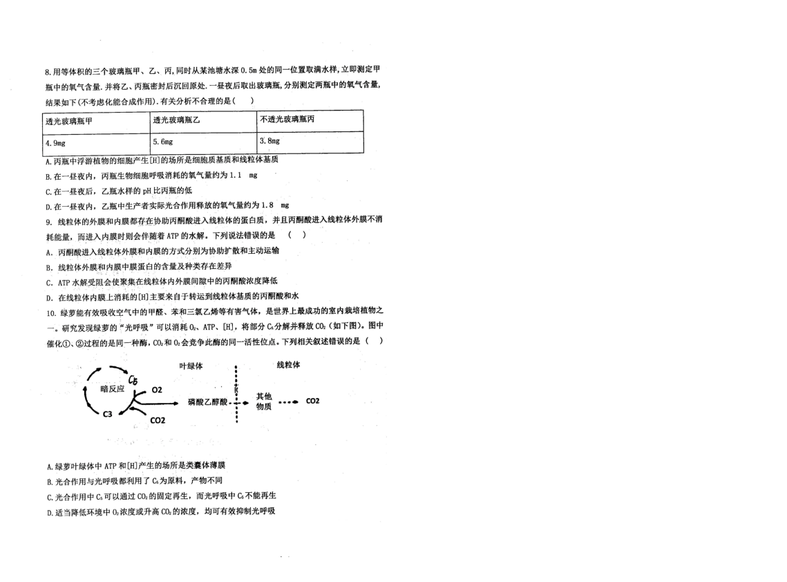 河北省衡水中学2020届高三上学期第四次调研考试生物试题