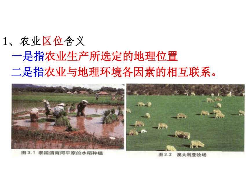 甘肃省兰州新区舟曲中学（人教版）高一地理必修二课件：第三章  农业地域的形成与发展 (共24张PPT)