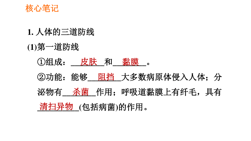 人教版八年級下冊生物課件第八章8121人體的三道防線免疫的功能課件共