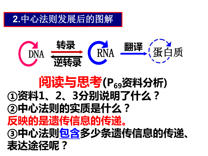 高中生物人教版必修二第四章第2节 基因对性状的控制  课件（26张PPT）