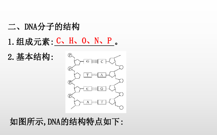 2019--2020人教生物必修二同步课件3.2：DNA分子的结构（53张PPT）