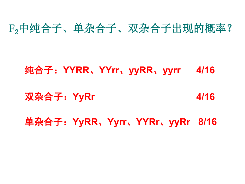 2020-2021学年高一生物人教版必修二1.2孟德尔的豌豆杂交实验（二）课件 （32张ppt）