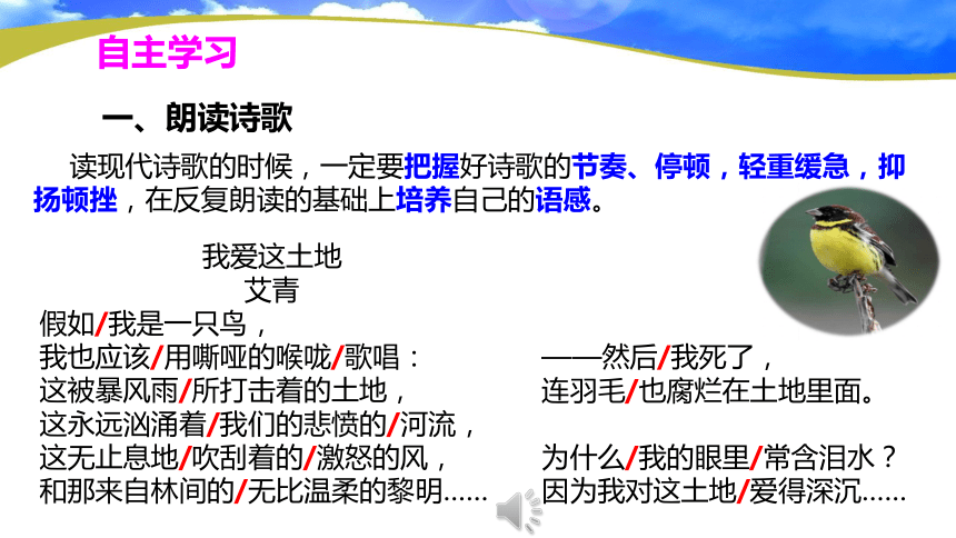 3 我爱这土地 课件(共26张PPT)